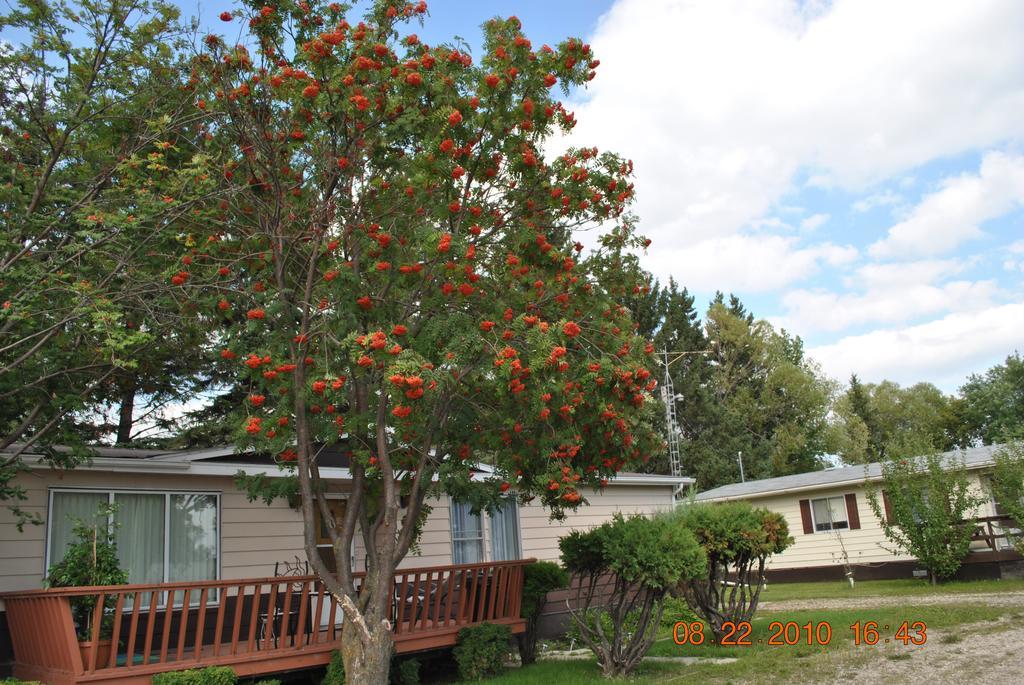 Neepawa Motel ภายนอก รูปภาพ